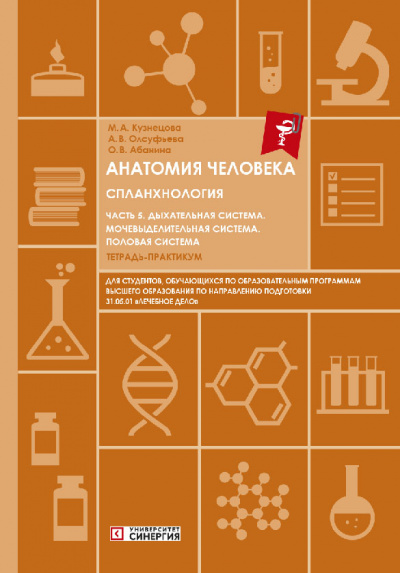 Анатомия человека: Спланхнология Часть 5. Тетрадь-практикум. 2024 г.