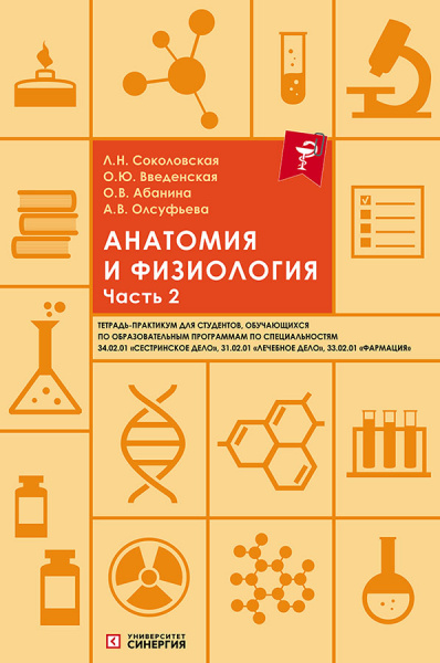 Анатомия и физиология. Тетрадь-практикум. Часть 2. 2023 г.